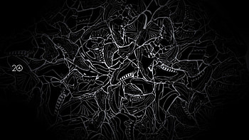 Michael Jordan Logo 1600Ã900 Jordan (47 ) | HD wallpaper